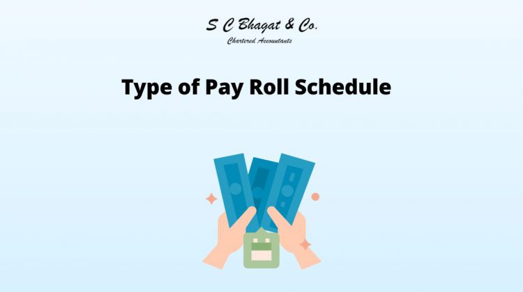 Type of Pay Roll Schedule