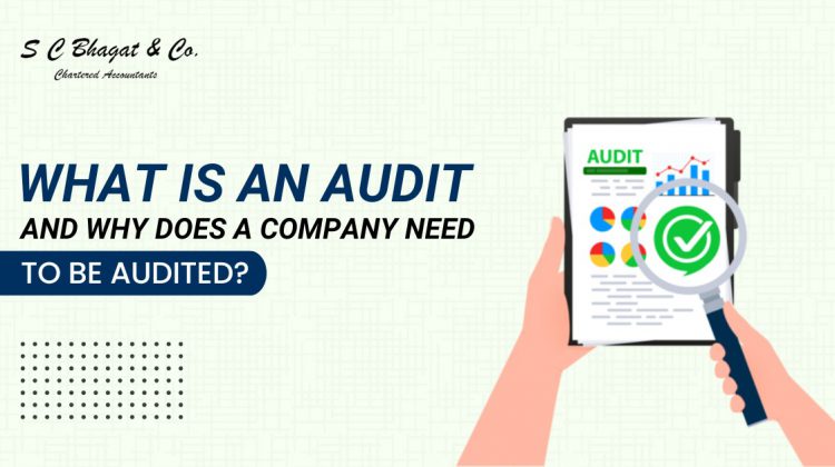 What is an Audit and Why Does a Company Need to be Audited?