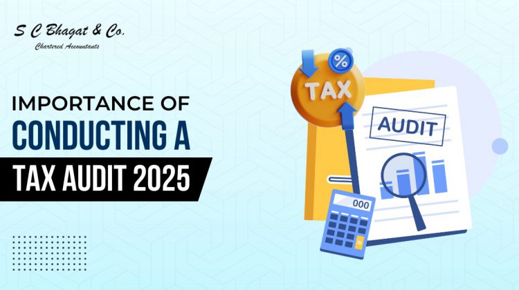 Importance of Conducting a Tax Audit in 2025