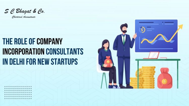 Company Incorporation Consultants