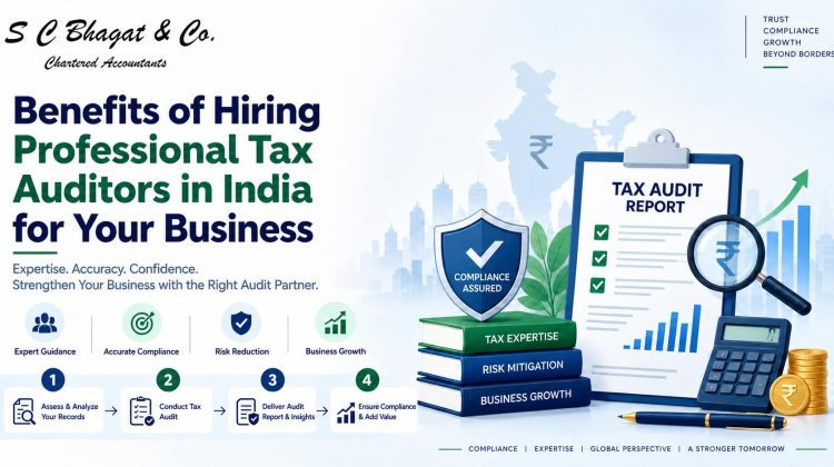 Professional Tax Auditors